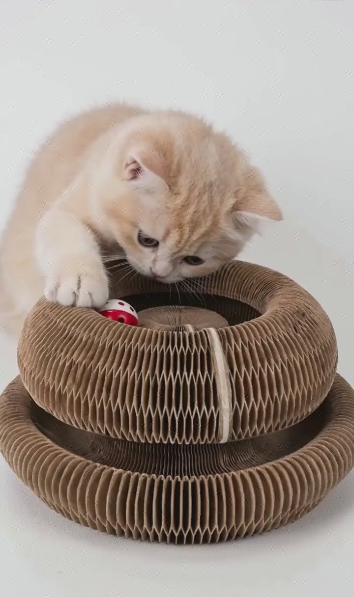PurrPour Magic Organ Cat Scratcher — Foldable, Ball Included