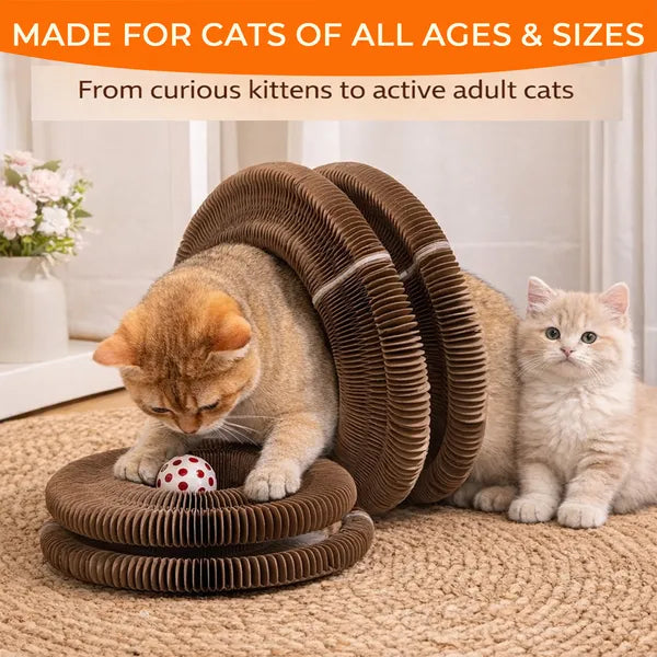 PurrPour Magic Organ Cat Scratcher — Foldable, Ball Included